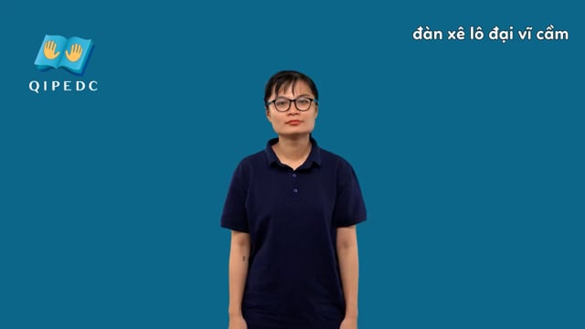đàn xê lô đại vĩ cầm