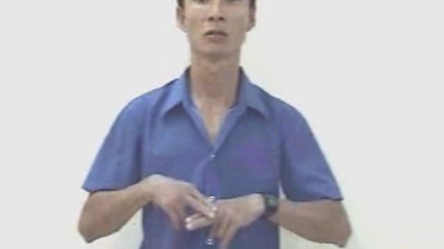 ngựa