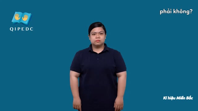 phải không?
