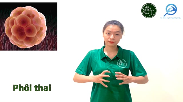 phôi thai