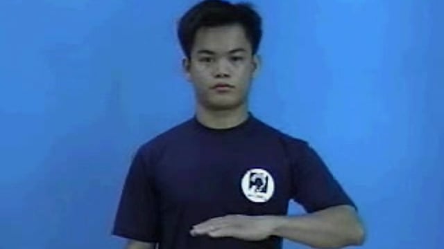 phân tích