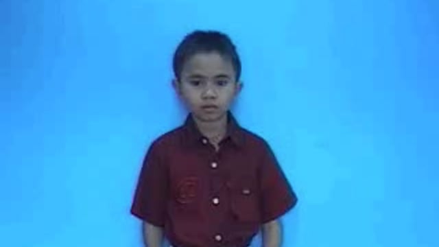 pháo hoa