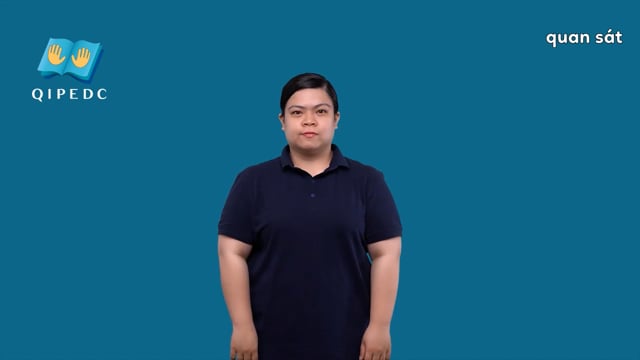 quan sát