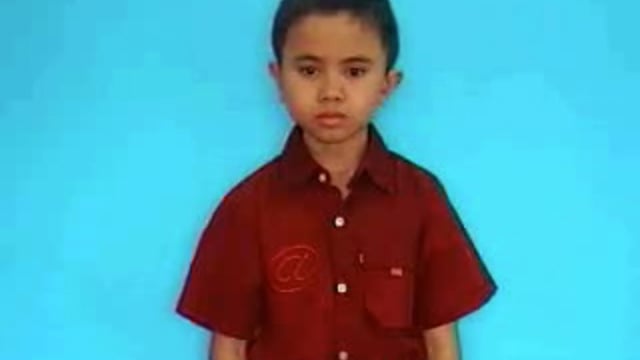 rừng thông