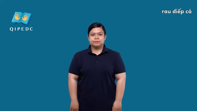 rau diếp cá