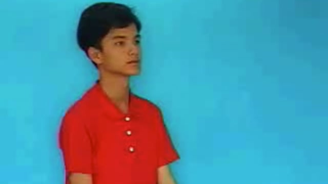 súng