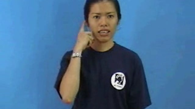 tiếng việt