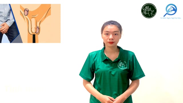 tinh hoàn ẩn
