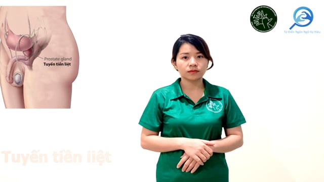 tuyến tiền liệt