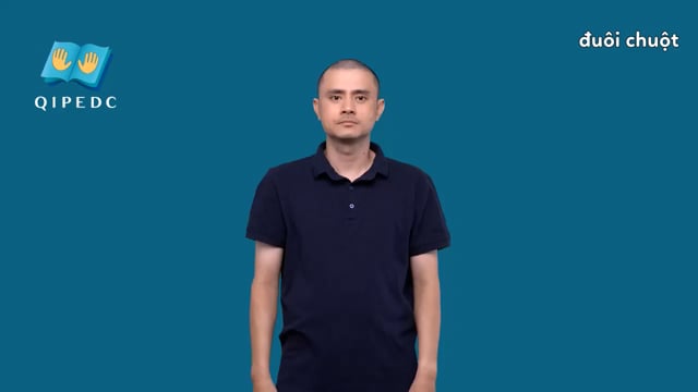 đuôi chuột