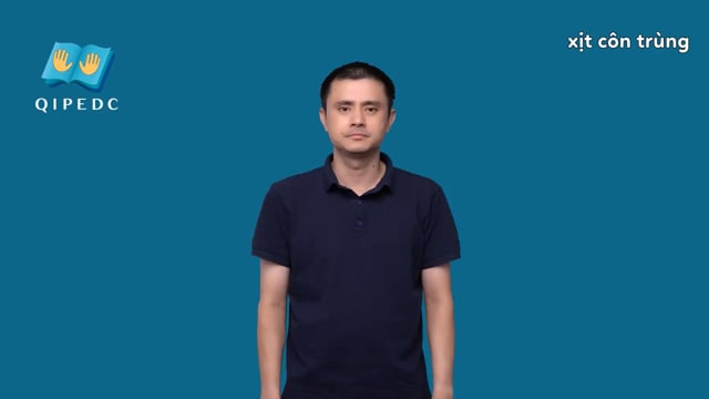 xịt côn trùng