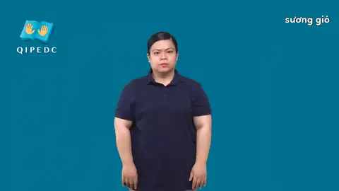 sương gió - Ngôn Ngữ ký Hiệu - Vùng miền Toàn Quốc - Phân loại