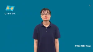 t – Ngôn Ngữ ký Hiệu – Vùng miền Miền Trung – Phân loại Chữ cái