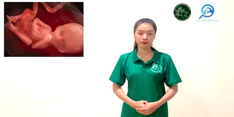 thai chết lưu - Ngôn Ngữ ký Hiệu - Vùng miền Thành Phố Hồ Chí Minh - Phân loại Sức khỏe - Bộ phận cơ thể, Động Từ, Dự Án 250 Ký Hiệu Y Khoa