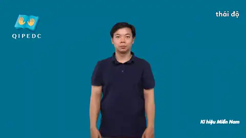 thái độ - Ngôn Ngữ ký Hiệu - Vùng miền Thành Phố Hồ Chí Minh - Phân loại