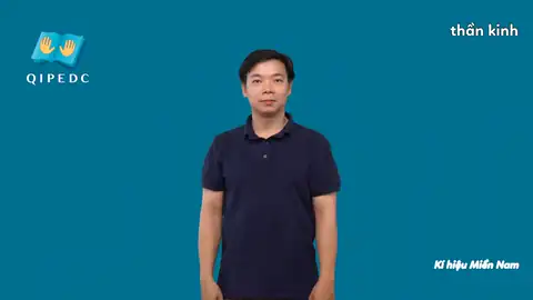 thần kinh - Ngôn Ngữ ký Hiệu - Vùng miền Thành Phố Hồ Chí Minh - Phân loại