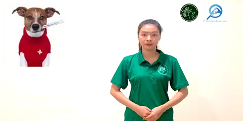thân nhiệt (động vật) - Ngôn Ngữ ký Hiệu - Vùng miền Thành Phố Hồ Chí Minh - Phân loại Sức khỏe - Bộ phận cơ thể, Danh Từ, Dự Án 250 Ký Hiệu Y Khoa