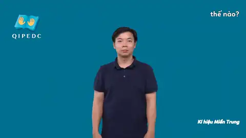 thế nào? - Ngôn Ngữ ký Hiệu - Vùng miền Huế - Phân loại