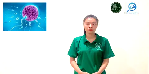 thụ tinh - Ngôn Ngữ ký Hiệu - Vùng miền Thành Phố Hồ Chí Minh - Phân loại Sức khỏe - Bộ phận cơ thể, Động Từ, Dự Án 250 Ký Hiệu Y Khoa