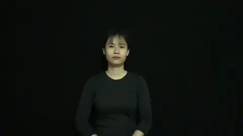 Thủ Tướng - Ngôn Ngữ ký Hiệu - Vùng miền Thành Phố Hồ Chí Minh - Phân loại Xã hội
