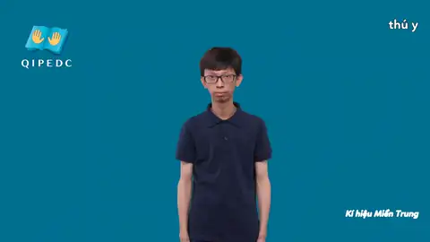 thú y - Ngôn Ngữ ký Hiệu - Vùng miền Huế - Phân loại