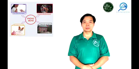 tiêm ngừa dại - Ngôn Ngữ ký Hiệu - Vùng miền Thành Phố Hồ Chí Minh - Phân loại Sức khỏe - Bộ phận cơ thể, Động Từ, Dự Án 250 Ký Hiệu Y Khoa