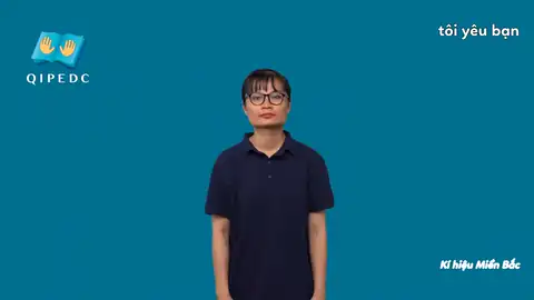 tôi yêu bạn - Ngôn Ngữ ký Hiệu - Vùng miền Hà Nội - Phân loại