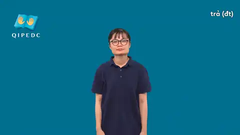 trả (đt) - Ngôn Ngữ ký Hiệu - Vùng miền Toàn Quốc - Phân loại