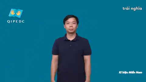 trái nghĩa - Ngôn Ngữ ký Hiệu - Vùng miền Thành Phố Hồ Chí Minh - Phân loại