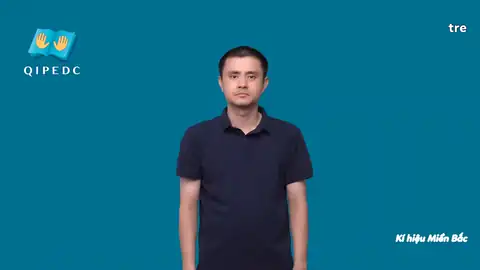 tre - Ngôn Ngữ ký Hiệu - Vùng miền Hà Nội - Phân loại