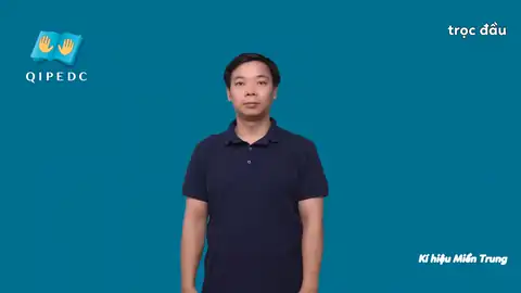 trọc đầu - Ngôn Ngữ ký Hiệu - Vùng miền Huế - Phân loại