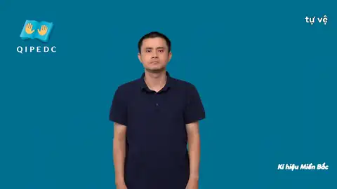 tự vệ - Ngôn Ngữ ký Hiệu - Vùng miền Hà Nội - Phân loại