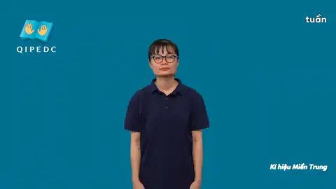 tuần - Ngôn Ngữ ký Hiệu - Vùng miền Huế - Phân loại