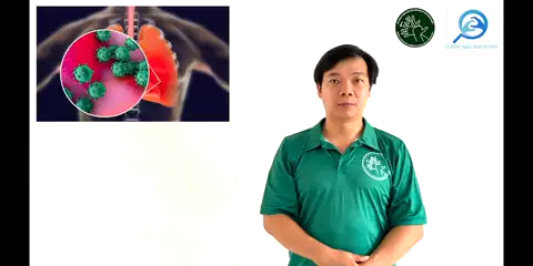 ủ bệnh - Ngôn Ngữ ký Hiệu - Vùng miền Thành Phố Hồ Chí Minh - Phân loại Sức khỏe - Bộ phận cơ thể, Động Từ, Dự Án 250 Ký Hiệu Y Khoa