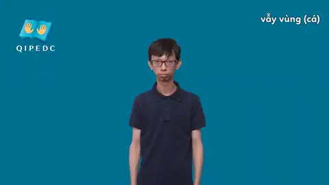 vẫy vùng (cá) - Ngôn Ngữ ký Hiệu - Vùng miền Toàn Quốc - Phân loại