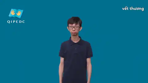 vết thương - Ngôn Ngữ ký Hiệu - Vùng miền Toàn Quốc - Phân loại