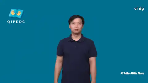 ví dụ - Ngôn Ngữ ký Hiệu - Vùng miền Thành Phố Hồ Chí Minh - Phân loại