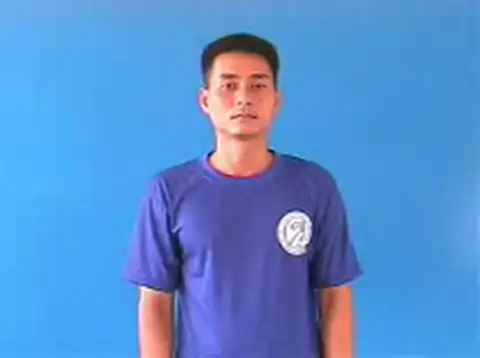 vi mạch - Ngôn Ngữ ký Hiệu - Vùng miền Hà Nội - Phân loại Tin học