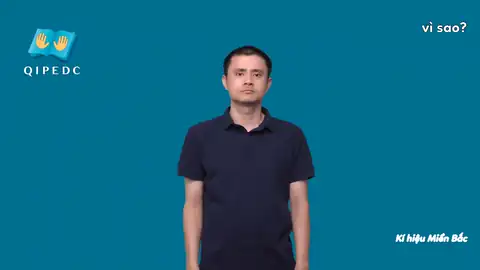 vì sao? - Ngôn Ngữ ký Hiệu - Vùng miền Hà Nội - Phân loại