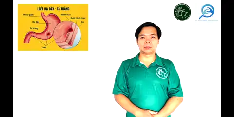 viêm loét dạ dày - Ngôn Ngữ ký Hiệu - Vùng miền Thành Phố Hồ Chí Minh - Phân loại Sức khỏe - Bộ phận cơ thể, Danh Từ, Dự Án 250 Ký Hiệu Y Khoa