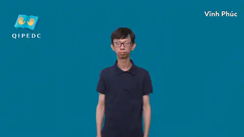 Vĩnh Phúc - Ngôn Ngữ ký Hiệu - Vùng miền Toàn Quốc - Phân loại