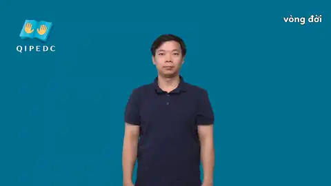 vòng đời - Ngôn Ngữ ký Hiệu - Vùng miền Toàn Quốc - Phân loại