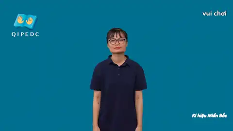 vui chơi - Ngôn Ngữ ký Hiệu - Vùng miền Hà Nội - Phân loại