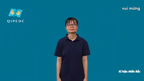 vui mừng - Ngôn Ngữ ký Hiệu - Vùng miền Hà Nội - Phân loại