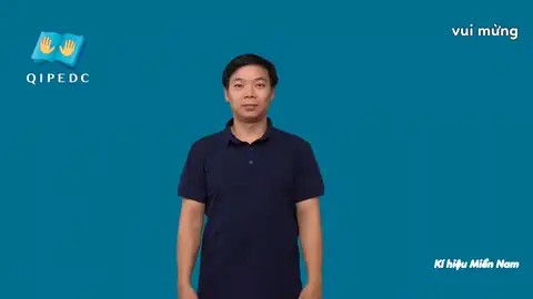 vui mừng - Ngôn Ngữ ký Hiệu - Vùng miền Thành Phố Hồ Chí Minh - Phân loại