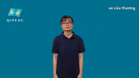 xe cứu thương - Ngôn Ngữ ký Hiệu - Vùng miền Toàn Quốc - Phân loại