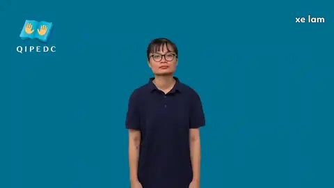 xe lam - Ngôn Ngữ ký Hiệu - Vùng miền Toàn Quốc - Phân loại