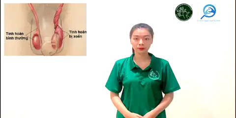 xoắn tinh hoàn - Ngôn Ngữ ký Hiệu - Vùng miền Thành Phố Hồ Chí Minh - Phân loại Sức khỏe - Bộ phận cơ thể, Dự Án 250 Ký Hiệu Y Khoa