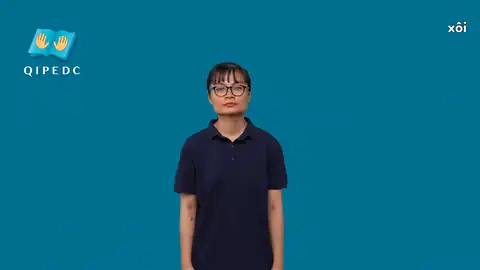 xôi - Ngôn Ngữ ký Hiệu - Vùng miền Toàn Quốc - Phân loại