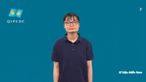 y – Ngôn Ngữ ký Hiệu – Vùng miền Thành Phố Hồ Chí Minh – Phân loại Chữ cái